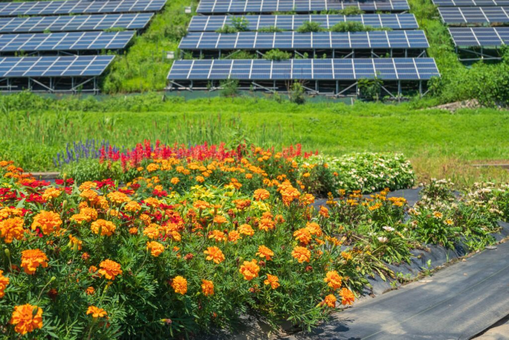 株式会社サンエーが案内するカーボンプライシング：環境対策と経済効果の両立