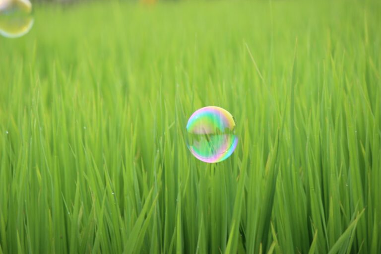 エコアクション21とは？取得するメリットや費用について等解説