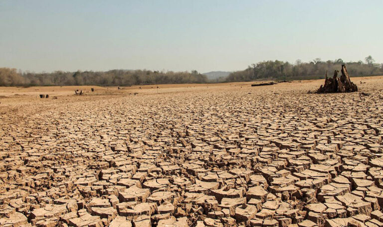 主な環境問題と、企業に求められる昨今の環境問題対策