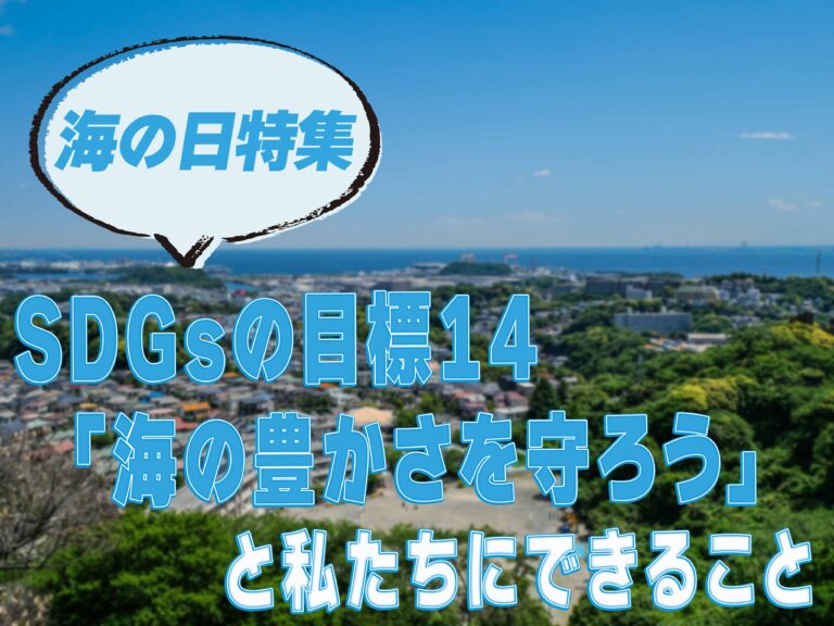 【海の日特集】SDGsの目標14「海の豊かさを守ろう」と私たちにできること