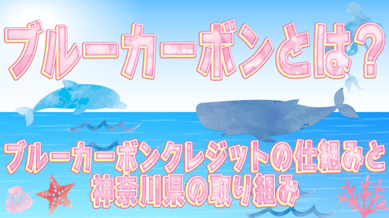 ブルーカーボンとは？ブルーカーボンクレジットの仕組みと神奈川県の取り組み